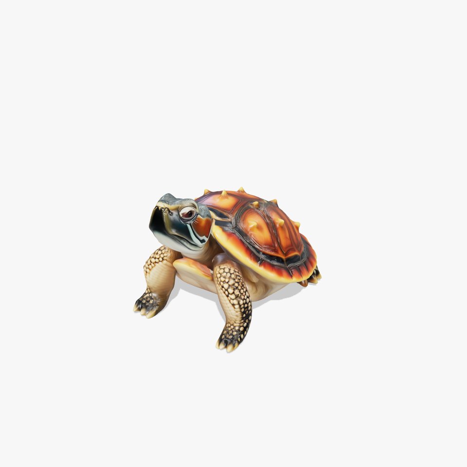 Spiny Softshell Turtle Detailed D Model Pack